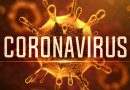 Cotia registrou mais de 1,4 mil casos de coronavírus em quatro dias
